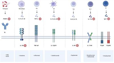 Biological treatments for pediatric Netherton syndrome